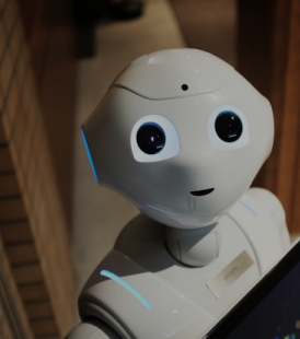 Virtual Assistant